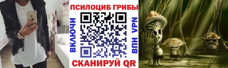 маркетплейс какой сайт Зуевка Галлюциногенные грибы Magic Shrooms